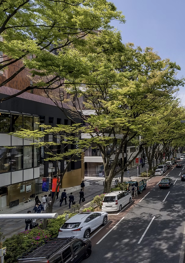 Urban city landscape