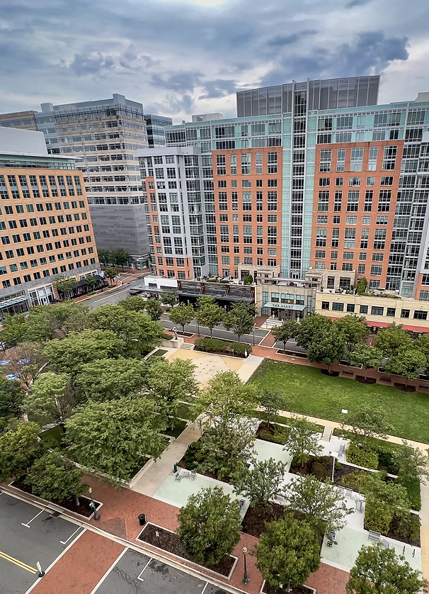 Reston, VA View