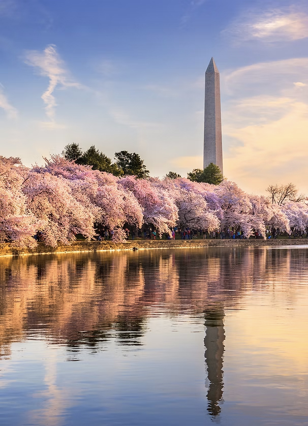 View of Washington, DC